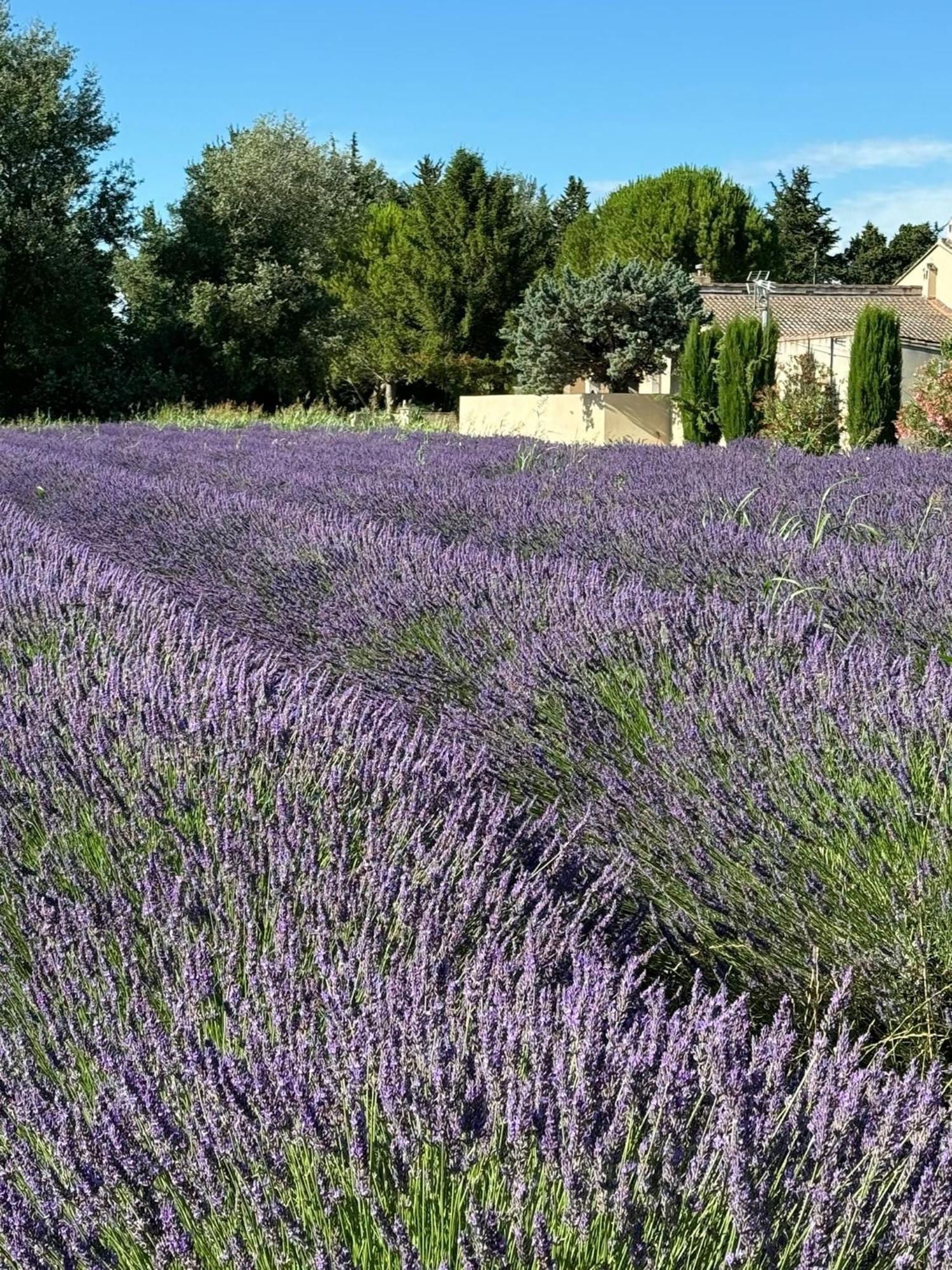 Appartement Neuf Et Au Calme Proche Avignon Althen-des-Paluds المظهر الخارجي الصورة