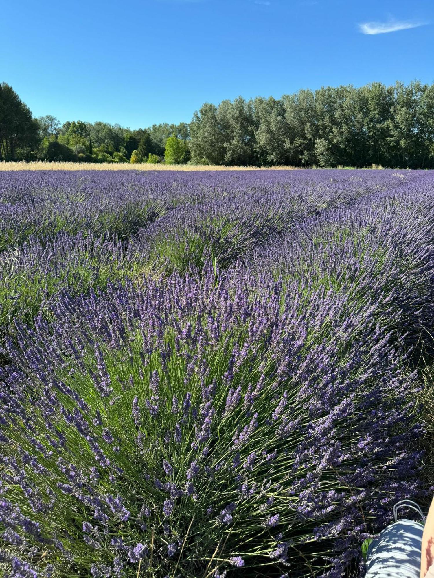 Appartement Neuf Et Au Calme Proche Avignon Althen-des-Paluds المظهر الخارجي الصورة